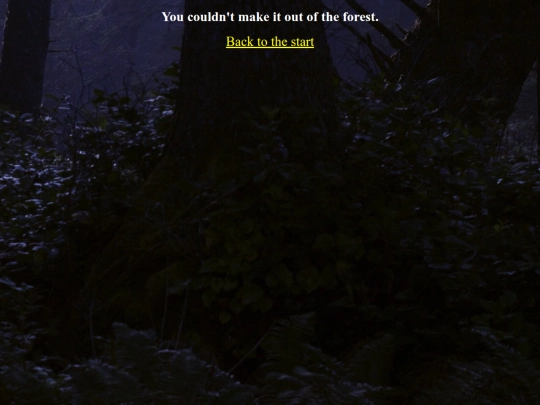 ClassFolder/AdventureGame/gameover screenshot