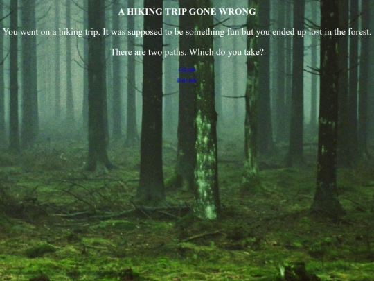 ClassFolder/AdventureGame screenshot