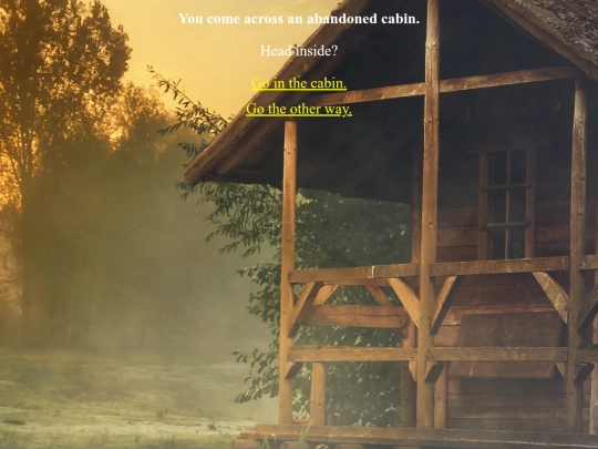 ClassFolder/AdventureGame/left screenshot