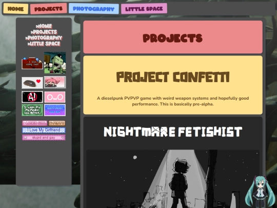 projects screenshot