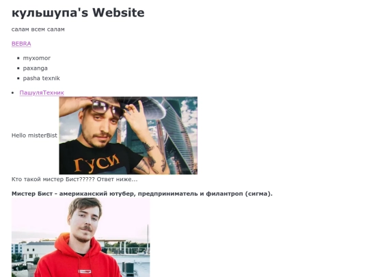 Website screenshot