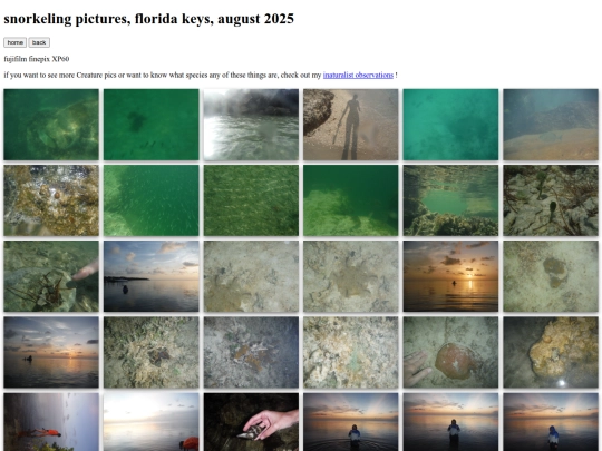 keys25 screenshot
