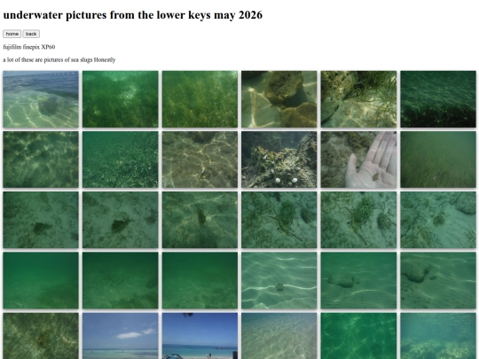 keys26 screenshot