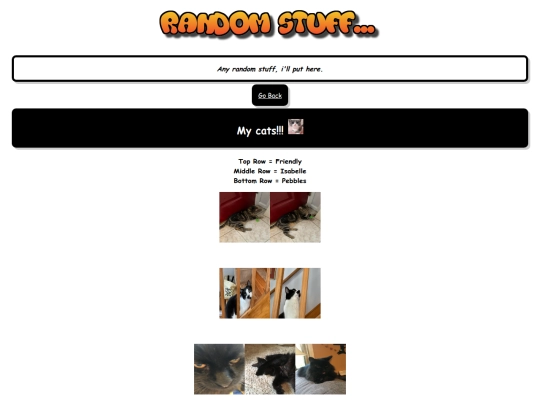 randomstuff screenshot