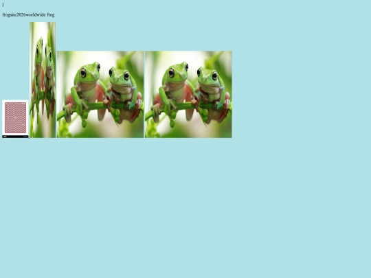 frog screenshot