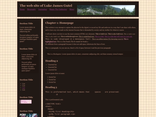 Website screenshot