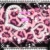 ☆ My Blog ☆ avatar