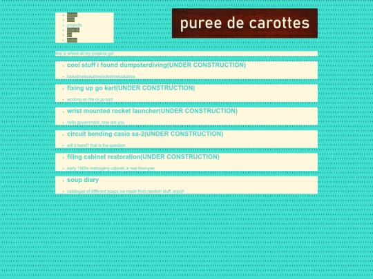 projects screenshot