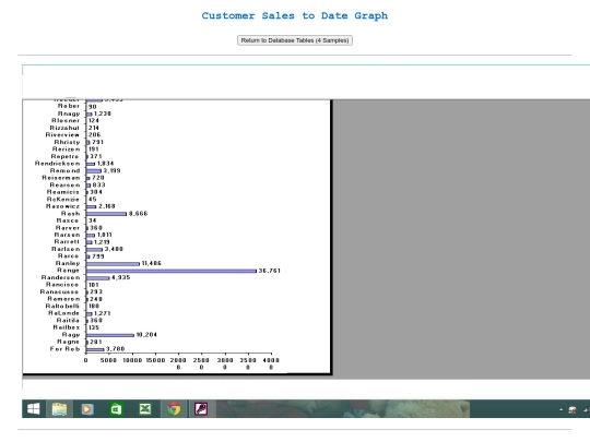 Customersalestodate screenshot