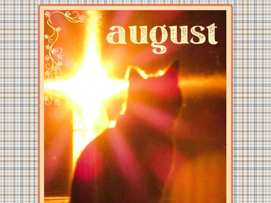 august screenshot