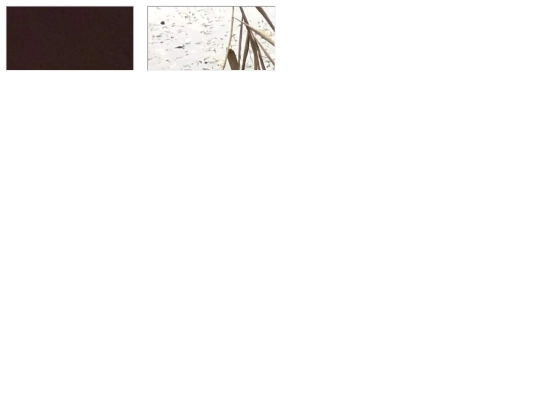 iframe_html/al/al screenshot