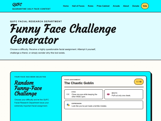 funny-face-challenge screenshot
