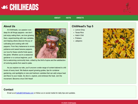 Website screenshot
