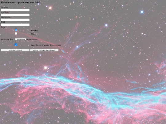 formulario screenshot