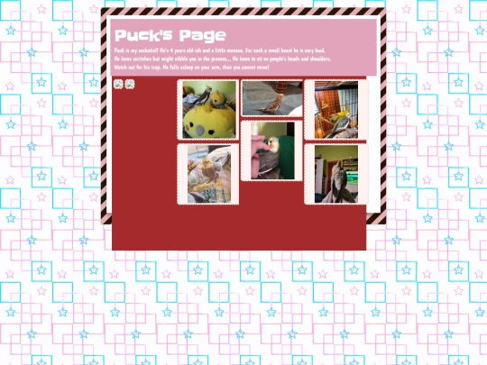 puck screenshot