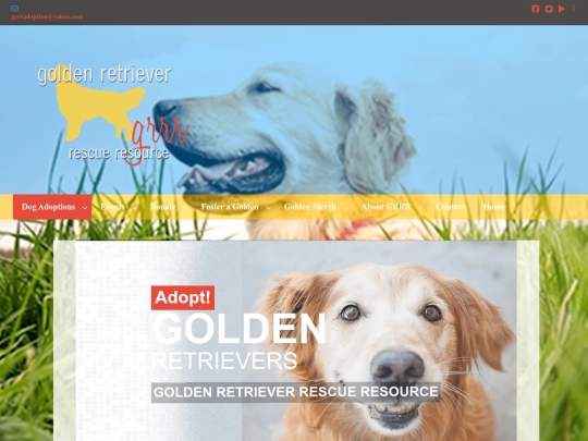 dog1 screenshot
