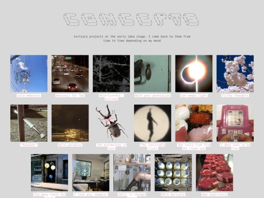 projects/concepts screenshot