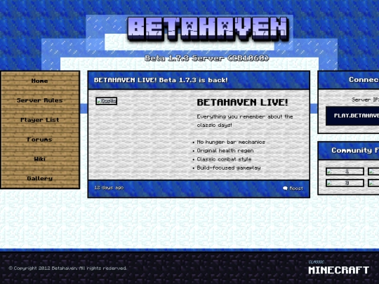 Website screenshot