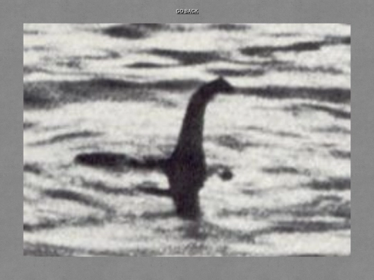 Lochness screenshot