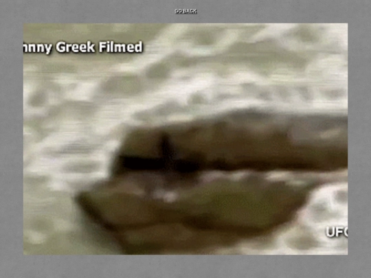 Mermaid screenshot