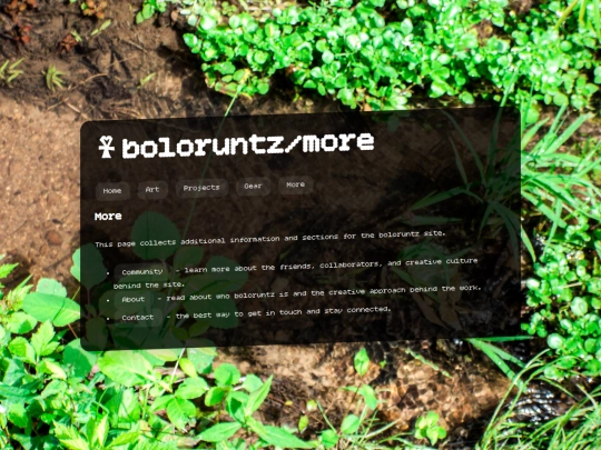 more screenshot
