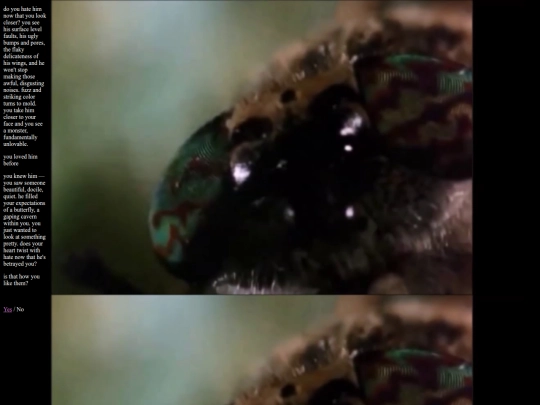 butterfly screenshot