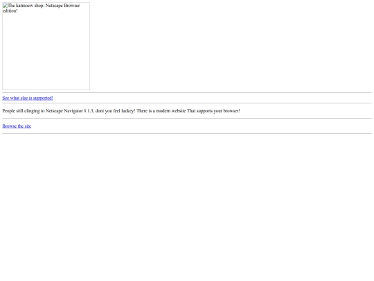 Netscape/NetscapeShop screenshot