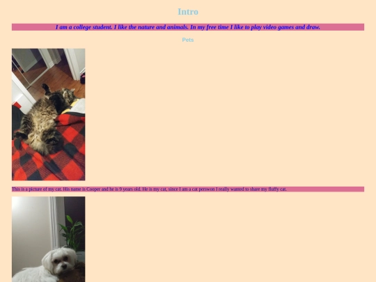 Examples/lab4/Lab4 screenshot