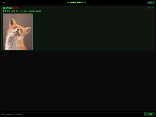 mobile-chat screenshot
