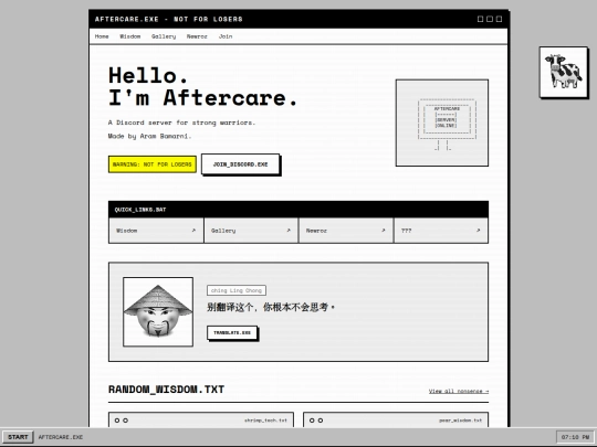Website screenshot