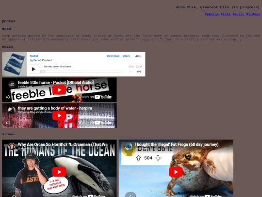 junepost screenshot