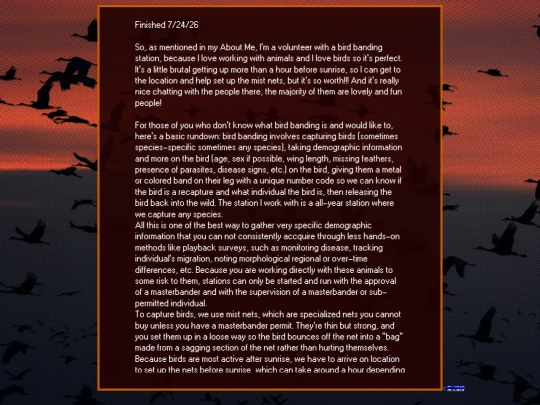 BlogEntries/Bird/Entries/Coolbirds screenshot