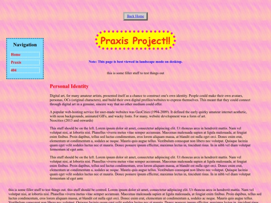 praxis screenshot