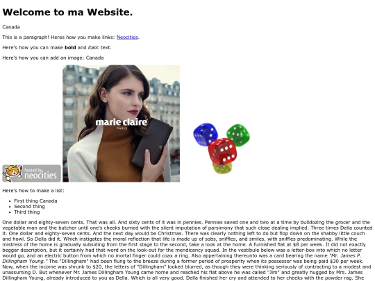 Website screenshot