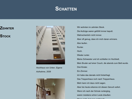 schatten screenshot