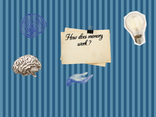 memorypage screenshot