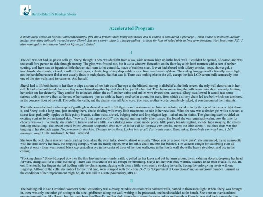 AcceleratedProgram screenshot