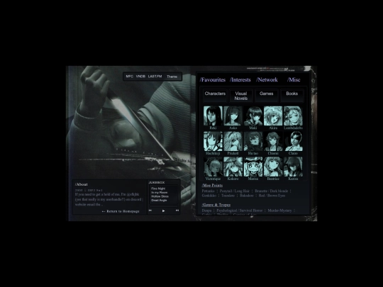 webmaster screenshot