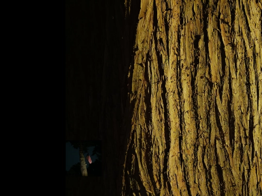 ent screenshot