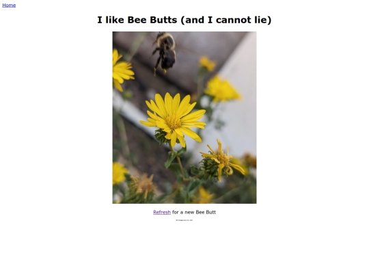 bee_butts screenshot