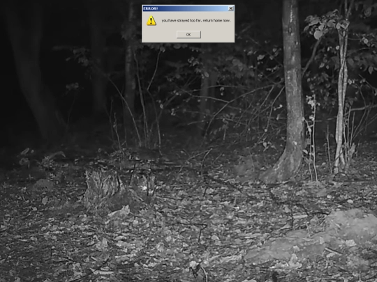 iframes/test screenshot