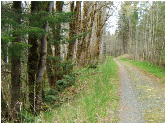 left screenshot