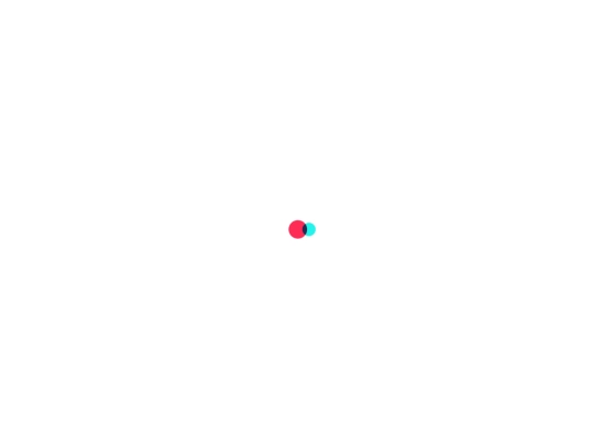 tiktok_loader screenshot