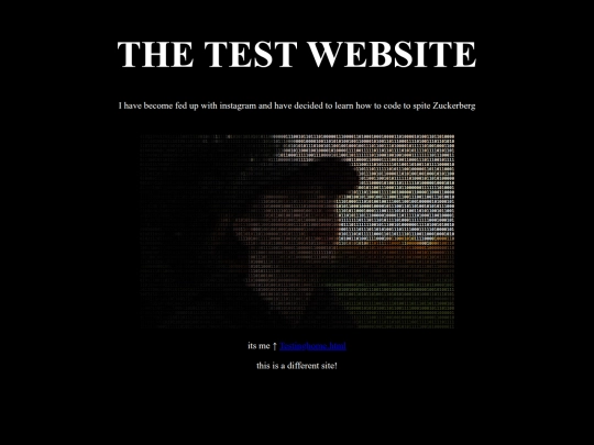 Testinghome screenshot