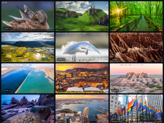 BingCover2 screenshot