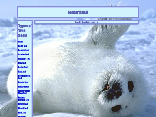 seals/leopard screenshot
