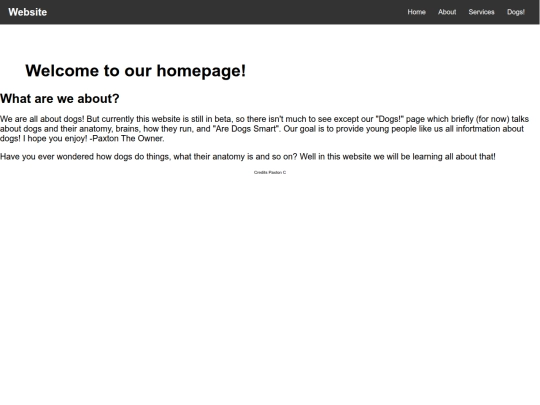 Website screenshot
