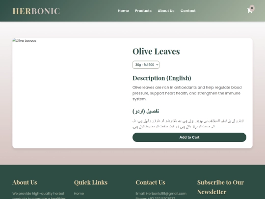 Website screenshot