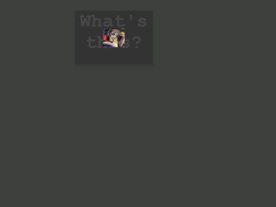 test screenshot