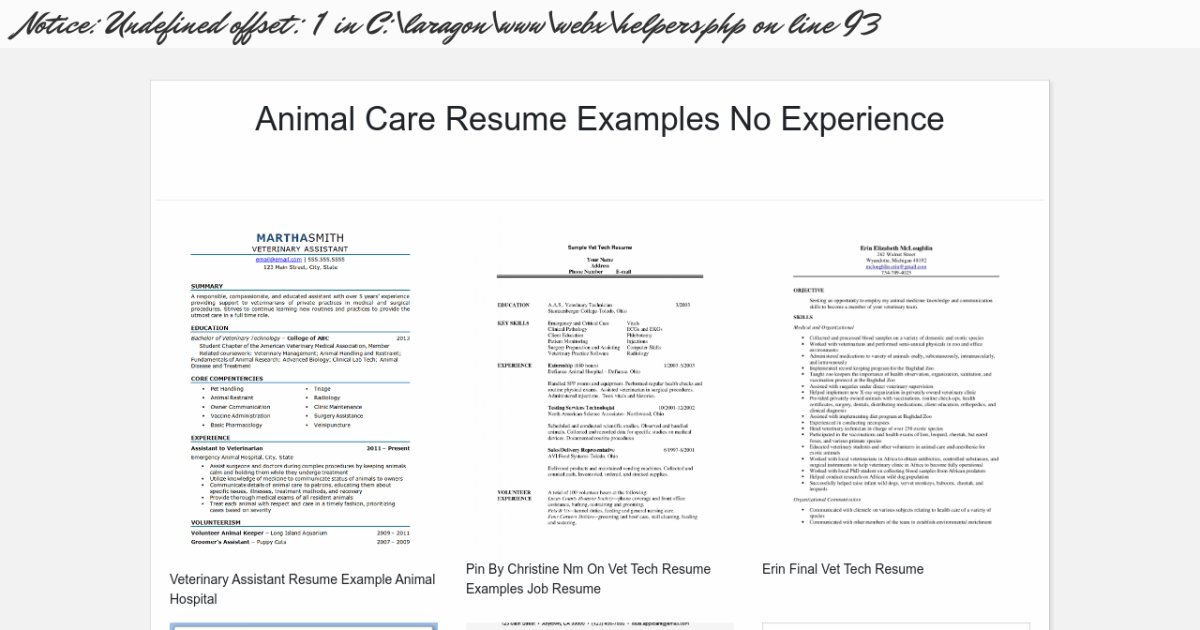 animal care resume examples no experience